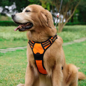 Harnais et laisse pour <span class=keywords><strong>chien</strong></span> de style gilet en polyester extensible, réfléchissant, confortable et antichoc, très vendu, pour chiens de taille moyenne à grande - Product Image 6