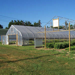 गर्म बिक्री कम लागत सुरंग तुर्की में हाइड्रोपोनिक ग्रीनहाउस - Product Image 1