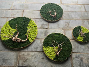 J-11205 Wholesale Customized Preserved <strong>Moss</strong> Panel Preserved Reindeer <strong>Moss</strong> With Frame for Home Decoration - Product Image 5