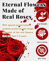 Boîte de roses éternelles préservées - Origine Chine - Pour femmes, petites amies, mamans - Livraison pour Noël et anniversaire