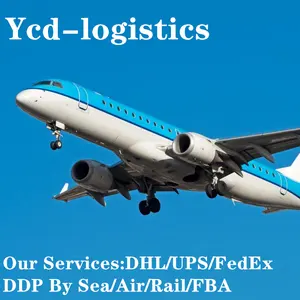 Детектор от Шэньчжэня к глобальному транспортному транспорту, самый дешевый DDP, воздушный груз DHL Express от двери до двери в Бразилию, склад FBA
