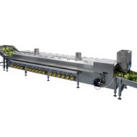 Automatische fruit- en groenteverwerkingslijn, koolzaadblancher, snelvrieslijn voor groenteverwerking, enzym-inactivatielijn