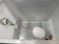 Cage à poules pondeuses fabriquée en usine, équipement avicole pour le marché mondial, système de production d'œufs à haute efficacité