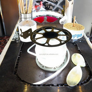 Tira de Luces LED de Plástico de 5mm, Nuevo Diseño, Sin Soldadura, 220V, Control Remoto, IP67 Impermeable, Tira Inteligente con 2 Años de Garantía - Product Image 4