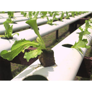 Système hydroponique aquaponique NFT AGG pour jardin intérieur, boîte de culture de plantes et légumes avec faible coût d'entretien et garantie d'un an - Product Image 2