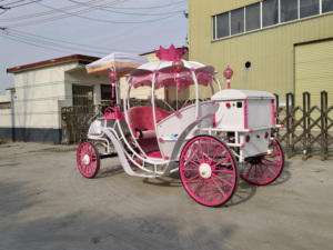 Carruaje de Caballos Eléctrico de Lujo con Diseño de Calabaza de la Princesa Cenicienta para Bodas y Transporte Especial - Product Image 4