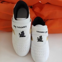 Chaussures de taekwondo Qutengtaekwondo légères, haute résilience, durables, à tige haute, unisexes, pour l'entraînement aux arts martiaux.