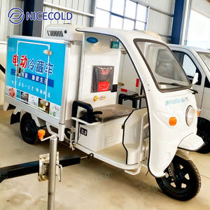 Triciclo Elettrico Refrigerato Personalizzato 2025 per Consegna di Alimenti Surgelati nei Supermercati, Veicolo per Catena del Freddo - Product Image 4