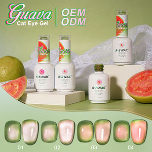 R S Nail Best Seller 16G Guava Cat Eye Gel 4 colores Italia Msds Manicure Uv Led Nail Gel Cat Eye Gel de larga duración de alta calidad - Product Image 5