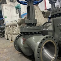 Vanne à opercule 2"/4"/6"/8"/10" DN50/DN100/DN150/DN200/DN250 en acier inoxydable 316/316L/304/CF8/CF8M/Duplex/Hastelloy Classe 300