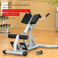 Banc de fitness multifonctionnel réglable en métal pour abdominaux et lombaires, chaise romaine polyvalente pour l'entraînement des muscles du dos