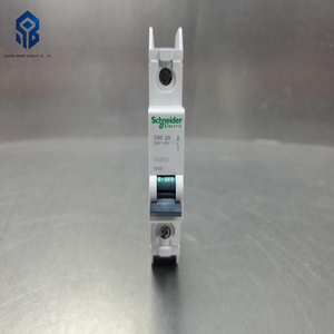 Nuovo e Originale Interruttore Automatico Schneider PLC 60103 C60 2A 1, Controllore di Programmazione PLC 4A331, Consegna Rapida dell'Originale - Product Image 1