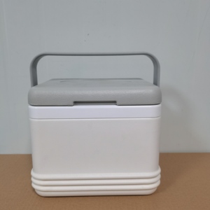 5L Small cooler box portable cold box for picnic/drinks/medical cold storage
