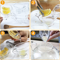 Presse-citron manuel en plastique Eco-Life, presse-fruits portable transparent facile à nettoyer, vente en gros