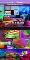 Bande lumineuse LED flexible 24V 5050 RGB changeante, étanche IP65, éclairage LED 840 LED/m blanc chaud pour la décoration de la maison, de la télévision et des hôtels