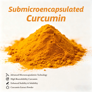 Nouvelle Curcumine Submicronique à Biodisponibilité Améliorée, Poudre d'<span class=keywords><strong>Extrait</strong></span> <span class=keywords><strong>de</strong></span> Curcuma Biologique Soluble dans l'Eau, Approvisionnement en Vrac - Product Image 2