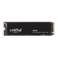 P310 1 To PCIe Gen4 NVMe 2280 M.2 SSD 6000 Mo/s et 7100 Mo/s Vitesse Disque dur SSD pour PC de jeu