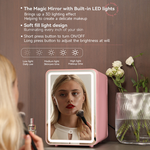 <span class=keywords><strong>Mini</strong></span> réfrigérateur électrique portable 10L 110V/220V/12V AC/DC ABS Mousse PU Porte miroir Double température Beauté Soins de la peau pour le lait maternel Boissons - Product Image 2