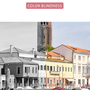 Jessjor JQ-008 TR90テンプルメガネ高品質メタルフロントスタイリッシュなソリューション色覚と視力の弱さ - Product Image 4