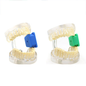 Ouvre-bouche dentaire, coussinet occlusal, support intra-oral, bloque-langue pour adultes, équipement de thérapie orale, tailles grande, moyenne, petite - Product Image 4