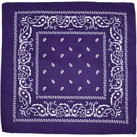 Vente en gros Carré Hip Hop Vintage Extérieur Vélo Camping Accessoires Polyester Paisley Cajou Fleur Bandana Poignet Soie