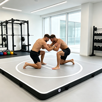 Tapis de combat gonflable haut de gamme avec 8 poignées de transport et structure en PVC robuste pour l'entraînement et les exercices de sparring de Muay Thai