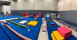 GAOHAO Planche à ressort de gymnastique de haut niveau Club Training Vault Springboard Springs Gymnastic Jumping Board Équipement de gymnastique - Product Image 4