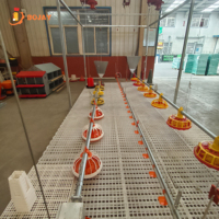 Équipement d'alimentation pour poulets de chair, système d'alimentation automatique par plateau pour élevages avicoles, fabricant direct d'usine, solution complète