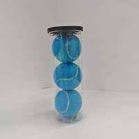 Balles de tennis d'entraînement en caoutchouc bleu clair Newchance 06 pour débutants, excellent rebond, durables, pour massage et fitness, usage individuel