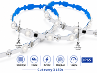 Bande LED adressable étanche avec lentille 30 LED/m pour caisson lumineux publicitaire et enseigne en lettres lumineuses