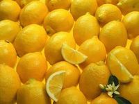 Limonène de source végétale, extrait naturel de zeste d'agrumes, matière première d'huile de citron pour la parfumerie et le nettoyage – Approvisionnement direct usine