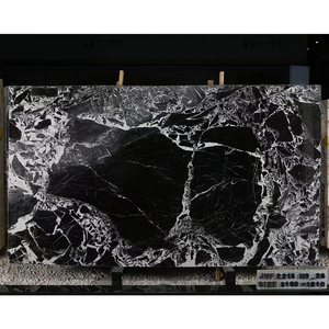 Mármol Negro Napoleón Pulido de Alta Calidad TMZ Stone ODM OEM, Moderno y Popular, para Uso Interior y Exterior - Product Image 3