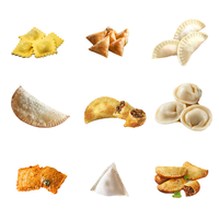 Chengtao Dim Sum Gyoza Machine Boulette Automatique Frit Japonais Gyoza Maker Boulette Potsticker Japon Gyoza Faisant La Machine