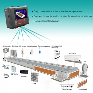 Tự động chăn nuôi gia cầm thiết bị-h loại Gà Thịt lồng hệ thống cho 4-12 tầng gà trang trại - Product Image 4