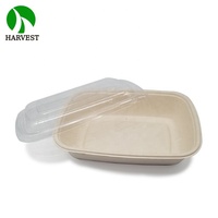 Boîte alimentaire carrée jetable en pulpe de bagasse 100 % biodégradable, écologique, pour nouilles et plats rapides - Micro-ondable, étanche et résistante à l'huile