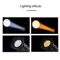Produits en gros : Projecteur profilé LED 200W 2-en-1, lumière LED ellipsoïdale couleur chaude ou blanche