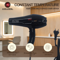 Sèche-cheveux ionique haute puissance HQ-8822, durable, séchage rapide, température constante