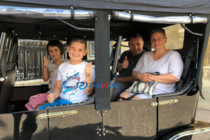 Voiture électrique classique de tourisme pour 11 personnes et buggy électrique de tourisme, véhicule classique électrique à vendre - Product Image 6