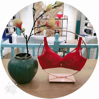 Vente chaude : Porte-vêtements rond en métal pour soutien-gorge, cintres en acier pour manteau, armoire, cuisine, salle de bain, nettoyage, style élégant avec clip