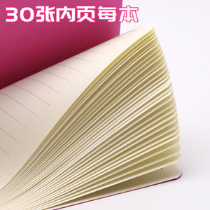 A5 A6 Cổ Điển Cầu Vồng Rắn Văn Phòng Máy Tính Xách Tay Học Sinh Thành phần Tập Thể Dục Cuốn Sách Với Dòng Lưới Lá Tùy Chỉnh Văn Phòng Phẩm - Product Image 5