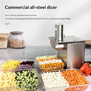 <span class=keywords><strong>Muda</strong></span> Tritatutto Elettrico Commerciale 250kg/h, Affettatrice Multifunzionale in Acciaio Inox per Frutta e Verdura, Macchina Tritatutto per Ristoranti - Product Image 3