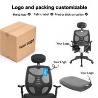 Chaise de bureau ergonomique en maille à dossier haut avec support lombaire, réglable en hauteur, base en acier inoxydable pour personnes corpulentes