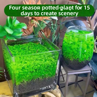 Graines de plantes aquatiques écologiques 1L, substrat sans lavage pour aquarium, hydroponie de bureau, micro-paysage en pot, décoration