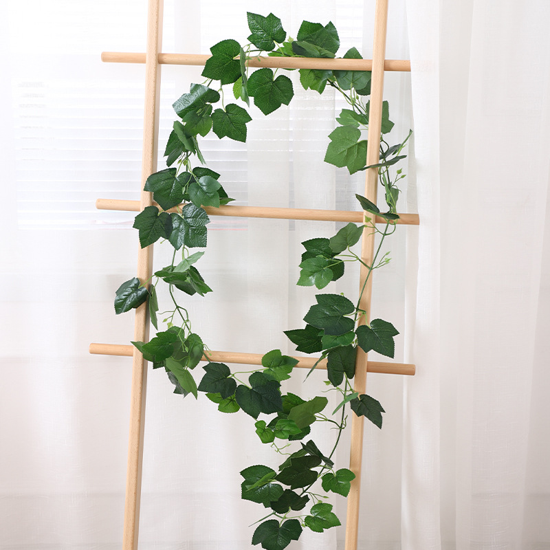 Hojas de parra de alambre