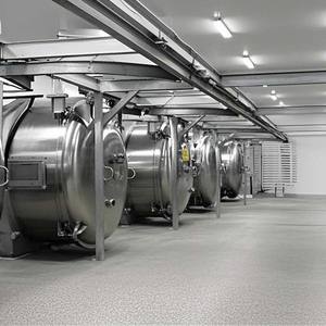 Lyophilisateur industriel de 200 kg pour les herbes botaniques, les aliments et le traitement des plantes - Product Image 2