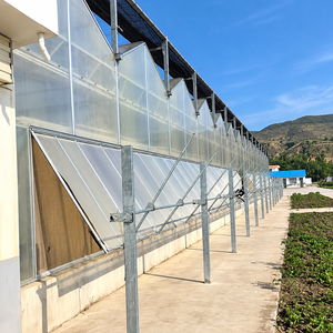 Serre en verre haute résistance au vent avec colonnes en aluminium robustes et panneaux en verre trempé pour usage agricole côtier - Product Image 2