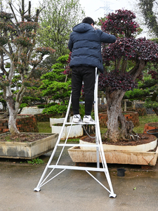 Aluminum Industrial Design Exterior Outdoor Garden <strong>Ladder</strong> High Strength Anti-Rust 300kg Load Capacity Folding/<strong>Telescopic</strong> Fruit - Product Image 6