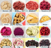 Groothandel Bulk Gedroogd Fruit Frambozen