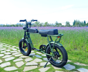 Bicicleta Eléctrica <span class=keywords><strong>2021</strong></span> Power Long Seat, Modelo Retro con Motor Trasero de 250w, Bicicleta Eléctrica 73 - Product Image 5