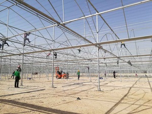 <span class=keywords><strong>Serre</strong></span> fixe à dents de scie pour l'agriculture tropicale pour la culture de légumes/laitue/<span class=keywords><strong>salade</strong></span>/céleri/concombre/aubergine/tomate/fleur/herbe - Product Image 6